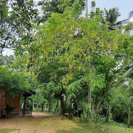 Nature'S Hideout Holiday Home Mirigama Εξωτερικό φωτογραφία