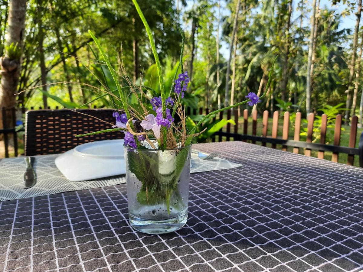 Nature'S Hideout Holiday Home Mirigama Εξωτερικό φωτογραφία