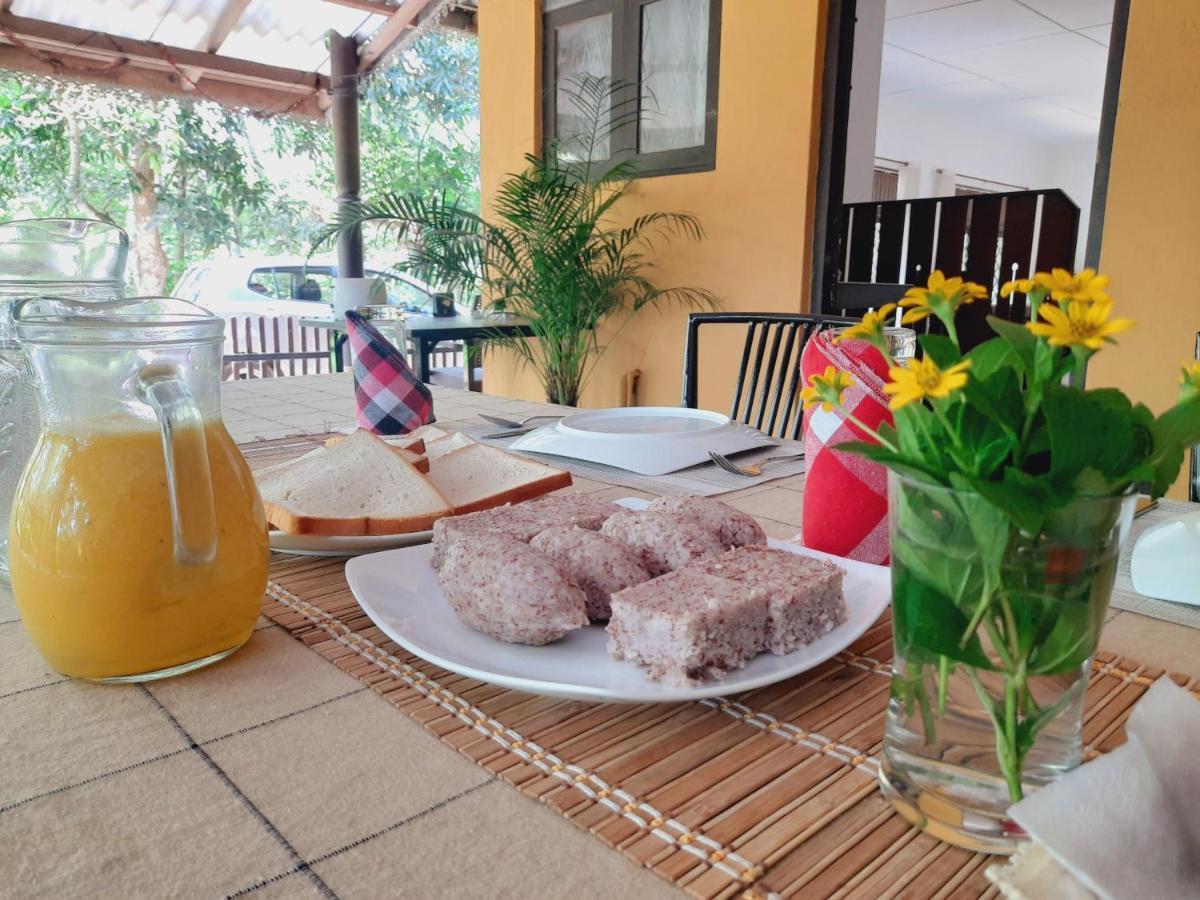 Nature'S Hideout Holiday Home Mirigama Εξωτερικό φωτογραφία
