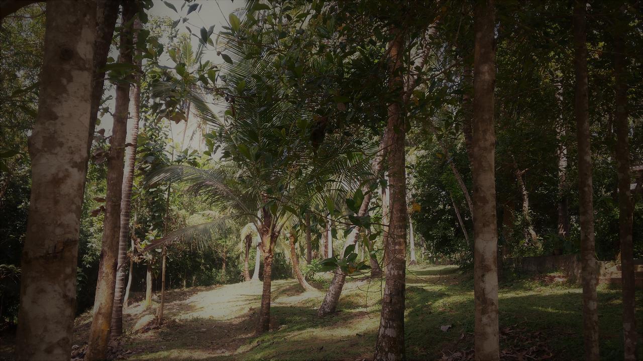 Nature'S Hideout Holiday Home Mirigama Εξωτερικό φωτογραφία