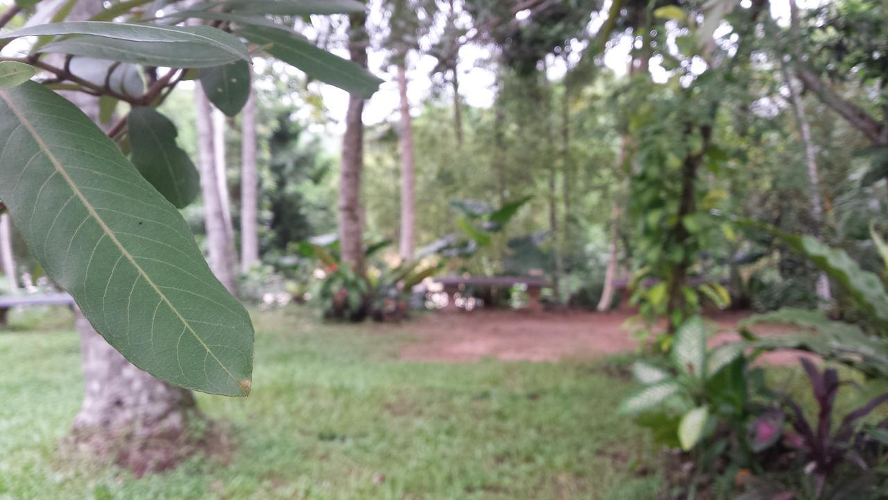 Nature'S Hideout Holiday Home Mirigama Εξωτερικό φωτογραφία