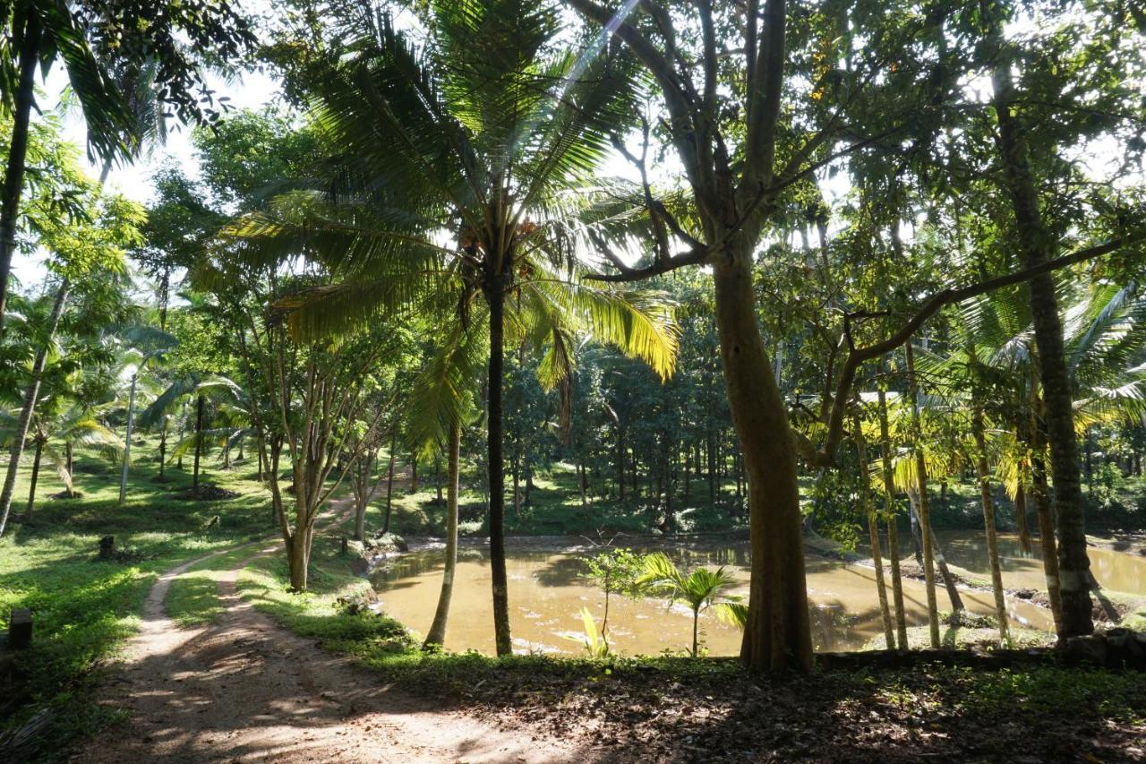 Nature'S Hideout Holiday Home Mirigama Εξωτερικό φωτογραφία