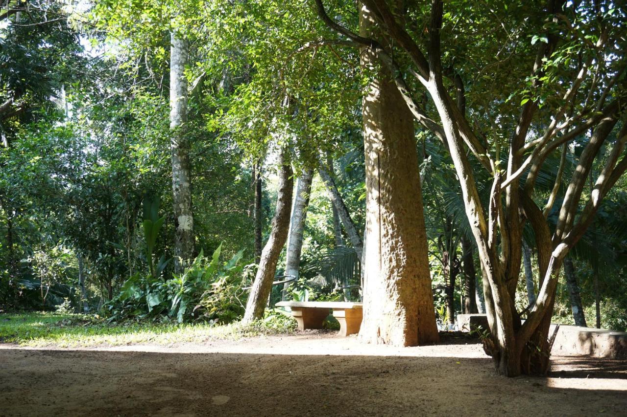 Nature'S Hideout Holiday Home Mirigama Εξωτερικό φωτογραφία